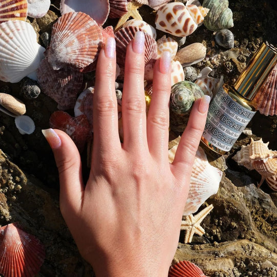 DC Mermaid #240 Sea Shell