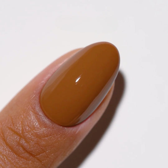 DC #317 Cookie Chips