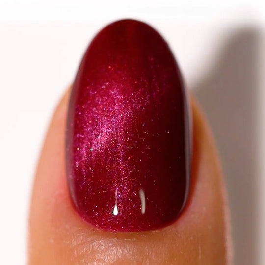 DC Cat Eyes #19 - Egyptian Mau