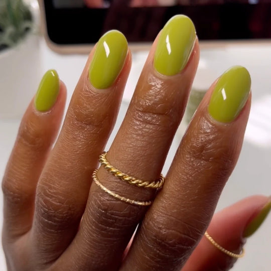 DND #1002 Jukebox Olive