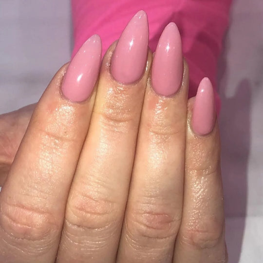 DND #451 Rock "N" Rose