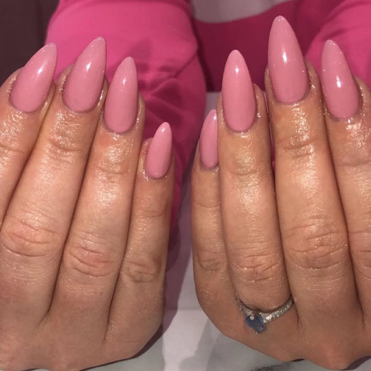 DND #451 Rock "N" Rose