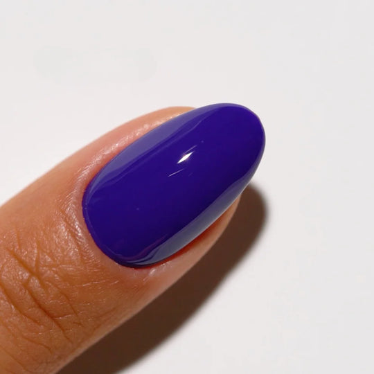 DND #730 Mixed Berries