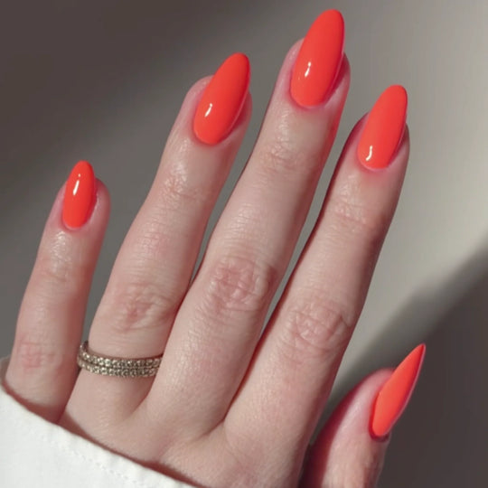 DIVA #210 Sunkissed Coral