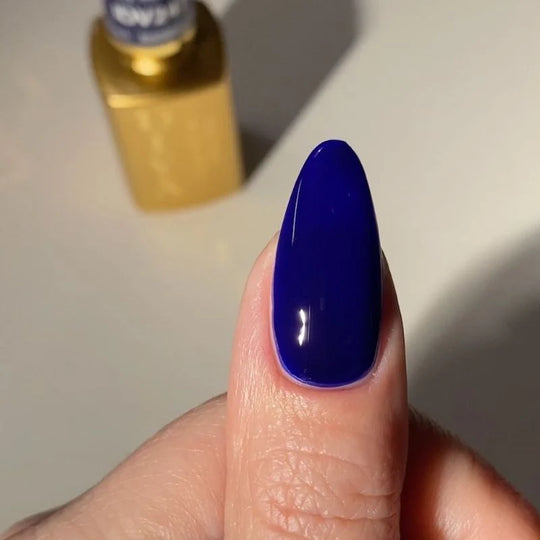 DIVA #247 Jelly Marine
