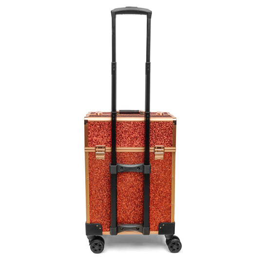 Professional Makeup and Manicure Case Portable Cosmetic Organizer