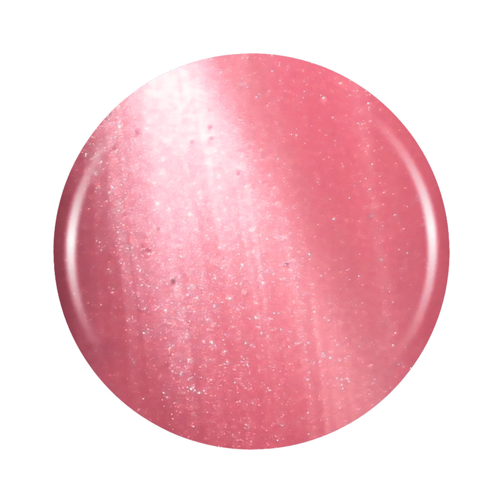 DNB Cat Eye #23