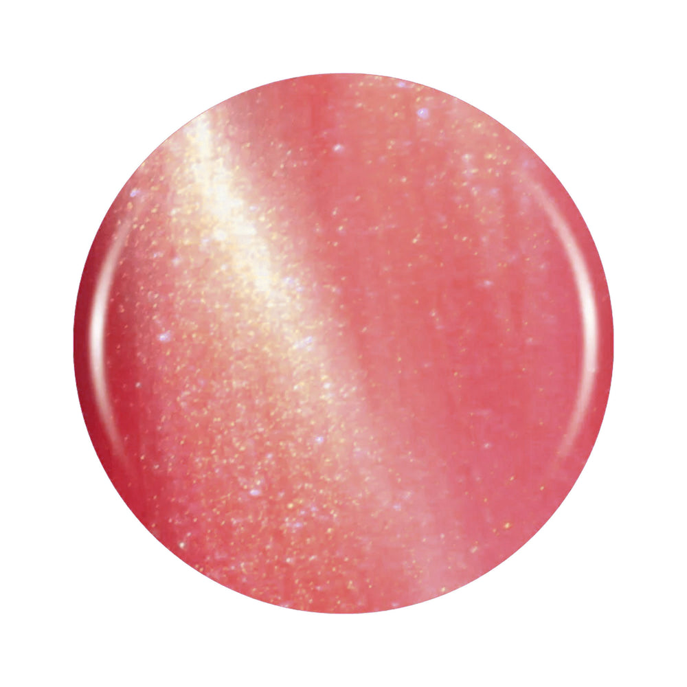 DNB Cat Eye #26