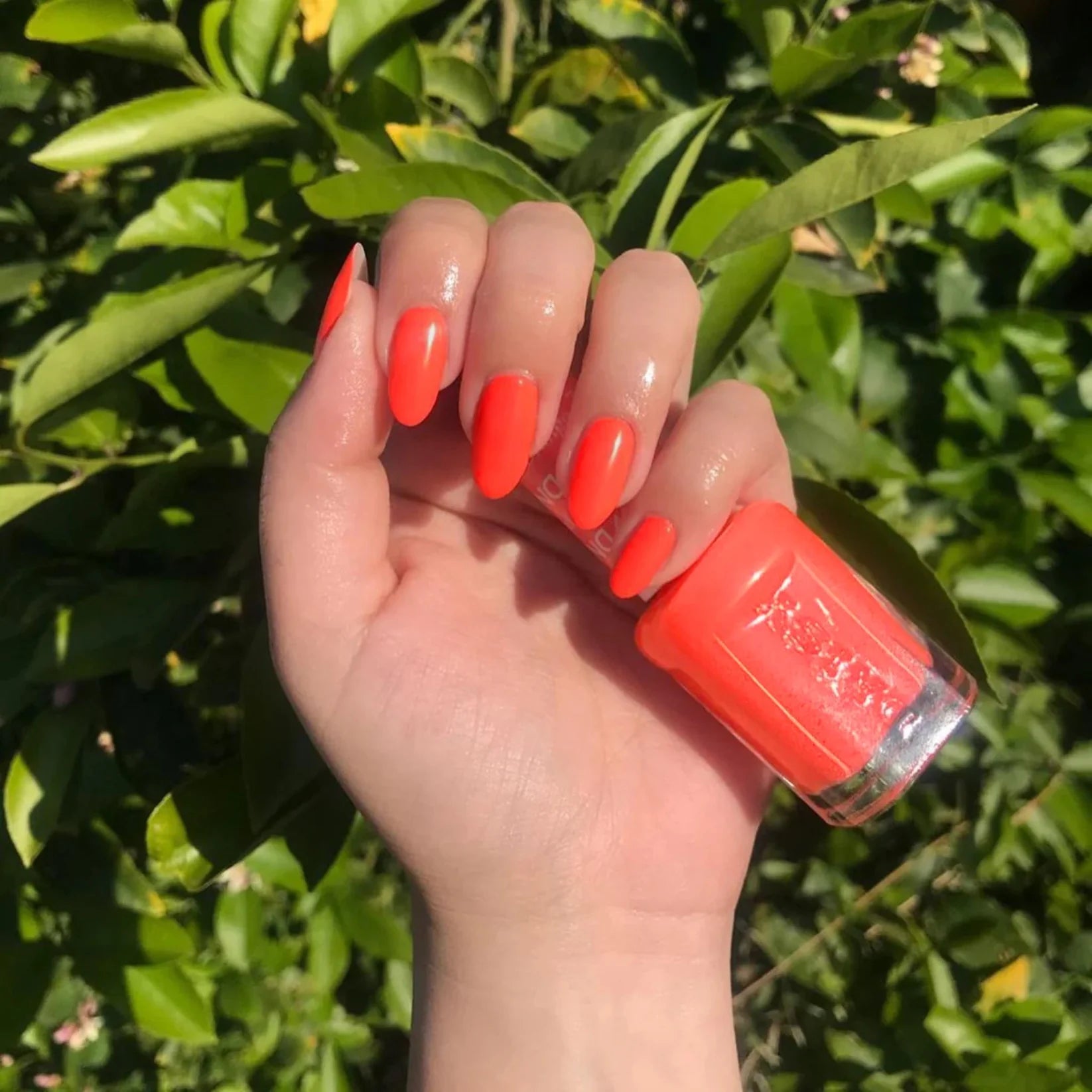 DND #426 Pastel Orange