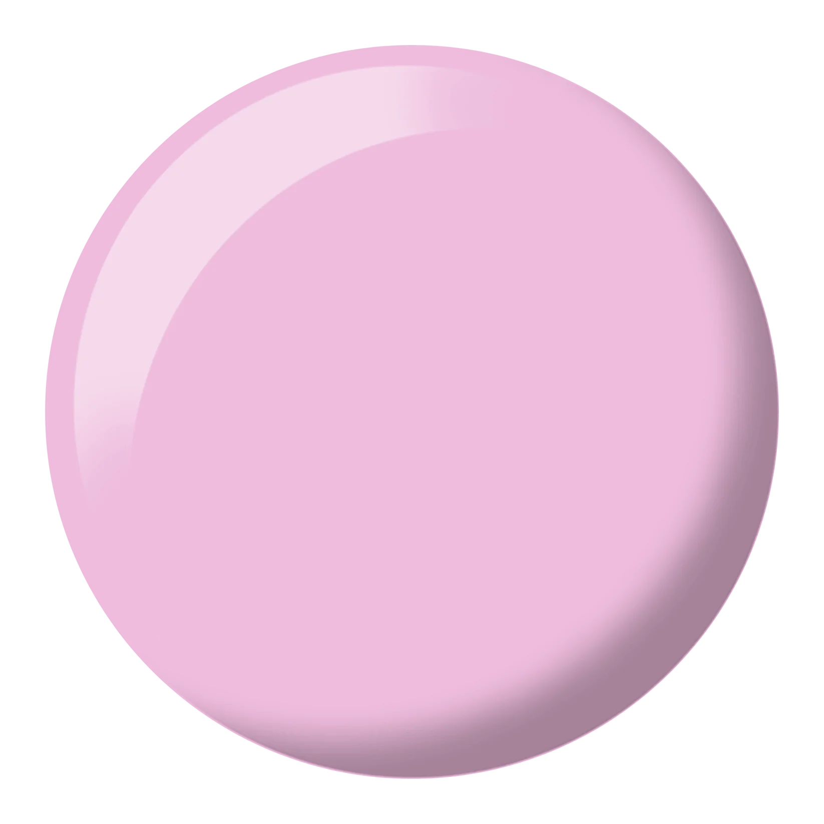 DND #535 Rose City